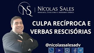 CULPA RECÍPROCA E VERBAS RESCISÓRIAS [upl. by Theta]