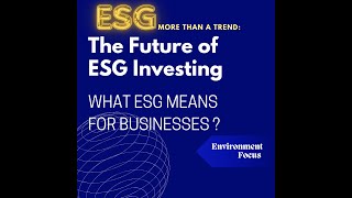 ESG Explained What It Means for Businesses [upl. by Sanalda108]