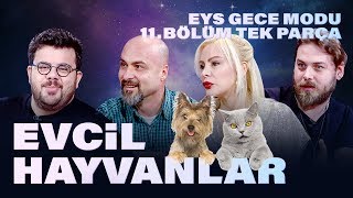 Patili Dostlarımız  EYS Gece Modu 11 Bölüm [upl. by Keir]