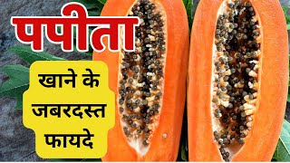 Papaya benefits and side effects पपीता खाने के फायदे और नुकसान पपीता खाने से क्या होता है papaya [upl. by Leinod724]