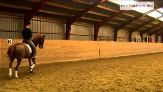 Dressage Exercise  HalfPass [upl. by Anomas857]