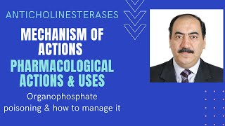 An elaborate explanation of anticholinesterase mechanism of action uses amp organophosphate poisoning [upl. by Adnilema]