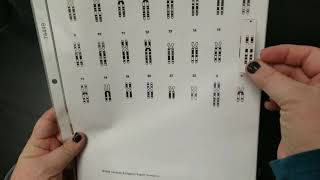 How to complete the magnetic karyotype lab [upl. by Pazice902]