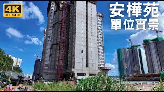 【安達臣道 安樺苑 居屋】 單位實景｜安賢閣 安德閣｜2幢29層990伙｜安禧街2號｜安愉道｜安健道｜安峯｜安秀道｜安楹苑  朗然  安秀苑  安柏苑  東九龍線 [upl. by Hannis]