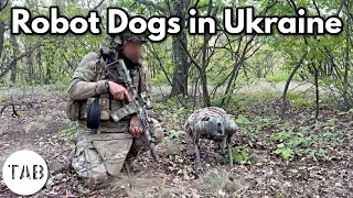 Ukraine Unleashes the Robot Dogs of War [upl. by Kizzee747]