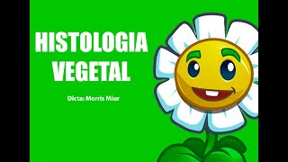 Histologia vegetal [upl. by Piane]