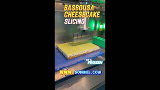 Basbousa Cheesecake Slicing basbousa basboussa basbousacake cheesecake frozencake sonikel [upl. by Aromat809]