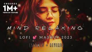 Mind Relaxing Lofi Sad 🎵😱🎵Slowed Reverb Mashup 2023 Sad Lofi🎶 [upl. by Adiuqram162]