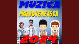 Hituri de Petrecere 2024 Moldovenesti [upl. by Fatima944]