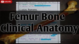 Femur Bone Anatomy Clinical Anatomy PART 4 Human Anatomy [upl. by Kano]