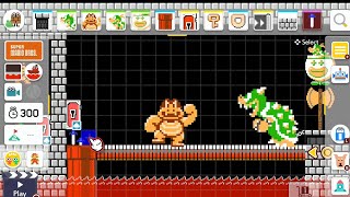 Super Mario Maker 2 Endless Challenge  World Records [upl. by Behn716]