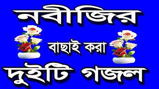 শুধু নবী প্রেমিকেরা এই গজলটি শুনবে বাংলাগজল নবীজিরগজল নবীর গজল 2025 gojolbangla banglagojol [upl. by Terri]