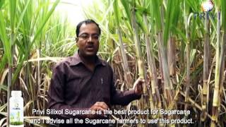 Privi Silixol Sugarcane  Farmer Testimonials [upl. by Leksehcey]