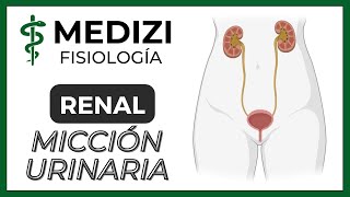 Clase 56 Fisiología Renal  Micción urinaria IGdoctorpaiva [upl. by Onaireves]