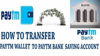 How to transfer from PAYTM Wallet to PAYTM Bank Savings account  Paytm Money Transfer [upl. by Lenssen]