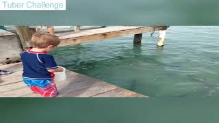 Best 3 Min Of Try Not To Laugh Or Grin Funny Kids Fails Compilation 2019 Best Fails Vines 2019 [upl. by Proudlove]