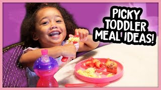 What My Toddler Eats in a Day Picky 2 Year Old  Quick Meal Ideas [upl. by Fi860]