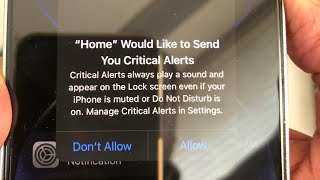 iPhone Stuck on Home would like to Send you Critical Alerts Fixed [upl. by Goeselt780]