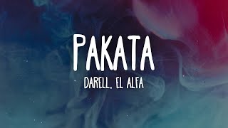 Darell El Alfa  PAKATA LetraLyrics [upl. by Akerdnahs]