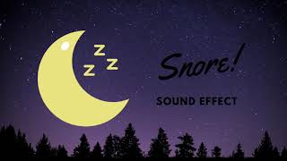 Sound of Snoring [upl. by Nosde]