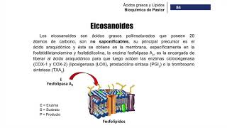 eBook  Eicosanoides  Página 84 [upl. by Oizirbaf]