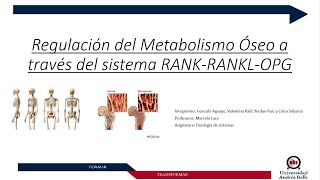 Regulación del metabolismo óseo a través del sistema RANKRANKLOPG  Universidad Andrés Bello [upl. by Jaye]