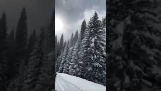 VAIL COLORADO SNOWMOBILING  YOU NEED TO DO THIS  VAIL COLORADO [upl. by Atir950]