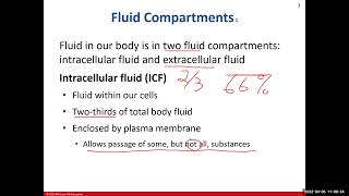 Fluid Electrolyte and pH Balance Ch25 Review [upl. by Nosnorb]