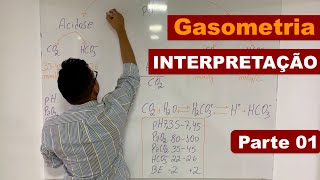 📎Interpretación de GASOMETRÍA VENOSA 💉🩸 [upl. by Wrdna]