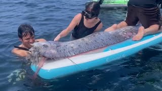 Rare deepsea oarfish discovered off California coast  VOA News [upl. by Araik]