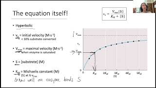 Enzyme Kinetics II 2 [upl. by Assilac]