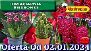 𝐁𝐈𝐄𝐃𝐑𝐎𝐍𝐊𝐀 🐞 Kwiaciarnia Biedronki Nowa Oferta Od 02012024  Kwiatowe Inspiracje Biedronki [upl. by Revolc]