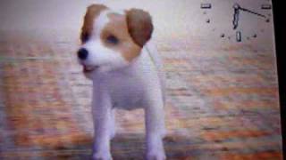 Nintendogs Jack Russell Terrier [upl. by Adnicaj]