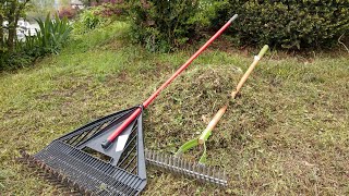 Dethatching your lawn by hand and 3 great uses for the grass clippings you remove [upl. by Campbell]