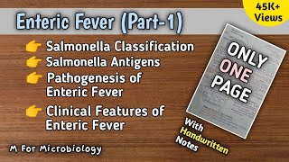 Enteric fever part1  Typhoid  Salmonella Typhi amp Paratyphi  Pathogenesis  Clinical features [upl. by Geer]