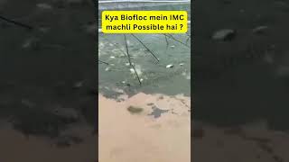 क्या Biofloc एक flop technology है 🧐 IMC machli Biofloc mein😱 Fish farming India bioflocfish [upl. by Gillman]