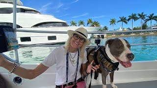 Miami Boat Show 2024 Dock Tour from Dog POV [upl. by Lesde453]