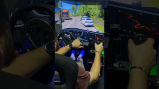 Oprit de Politie nextlevelracing NextLevelRacing eurotrucksimulator2 citycardriving [upl. by Kerrin]