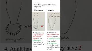 How monogenea differs from digeneazoologyshorts ADSBs [upl. by Mame]