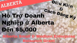 Hỗ Trợ Doanh Nghiệp ở Alberta Đến 5000  Điều Kiện amp Cách Đăng Ký  Alberta Relaunch Grant [upl. by Philipines]