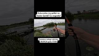 Kukurydza czy pellet na feeder bomb Co wygrało fishing wędkarstwo carpfishing feeder carp [upl. by Llenrep]