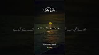 Surah Al baqra with Urdu translation💗🌼islamicstatus translationquran beautifullslamic shorts [upl. by Nalliuq]