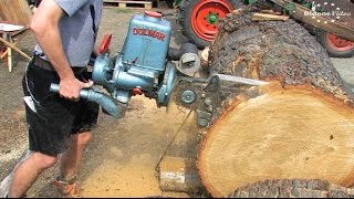 2 Holz und Feldtag Niederböhmersdorf  25  die Holzbearbeitung  Kettensägen  Chainsaw [upl. by Foote]