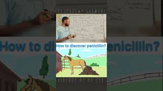 How to discover penicillin biology neet neetbiology class12 shorts [upl. by Tecu35]