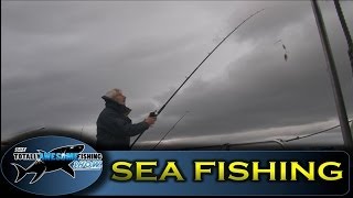 Boat fishing tips  Casting  TAFishing Show [upl. by Robaina144]