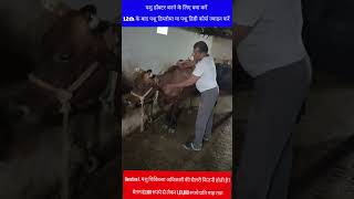 पशुओं का डॉक्टर कैसे बनें  How To become a Veterinary Doctor  पशु डॉक्टर की सैलरी veterinary [upl. by Jarvis]