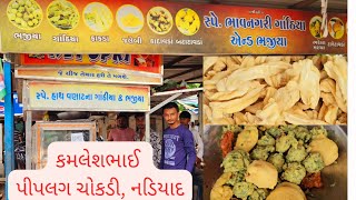 સ્પે ભાવનગરી હાથ વણાટના ગાંઠીયા ભજીયા ફરસાણ 😋 પીપલગ ચોકડી નડિઆદ  કમલેશભાઈ  મો 9904234118 [upl. by Godrich]