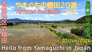 やまぐちの棚田20選【NO19 青海地区の棚田 全編】長門市仙崎 2024年06月07日 [upl. by Akimahc]