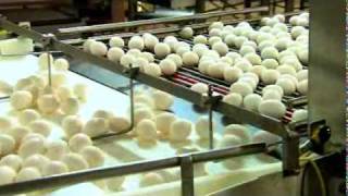 Herbrucks Poultry Ranch Egg Production and Packaging [upl. by Aselehc]