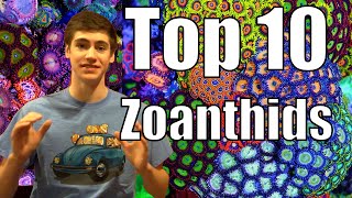 Top 10 Zoanthids and Palythoas for Reef Tanks [upl. by Ardekal]